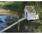 Duck House