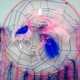 Dream catcher