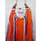 NFL football Cincinnati Bengals horses..
