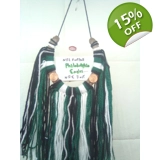 NFL football Philadelphia Eagles horse..