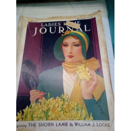 Lady's home journal magazine May 1930