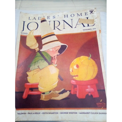 Lady's home journal magazine nov 1933