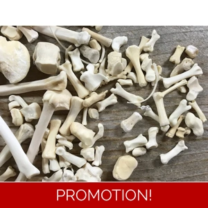 Bones