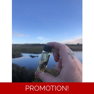 Malphas & Co Binding Oil (18+)