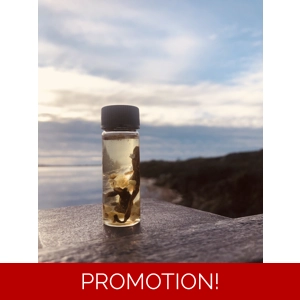 Spirit of Azrael Oil