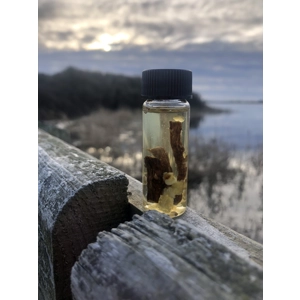 Spirit Communication Oil (10ml) Spirit Communication Oil (10ml)