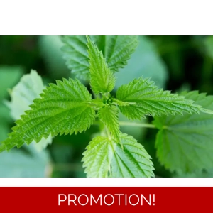 Dried Nettle Leaf