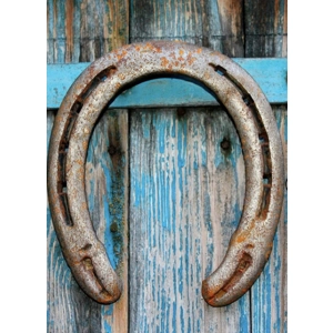Horseshoe