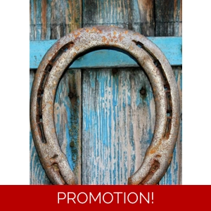 Horseshoe