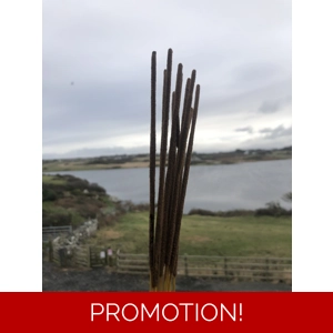Bog Witch Incense Sticks Bog Witch Incense Sticks