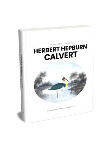 The Watercolours of Herbert Hepburn Calvert