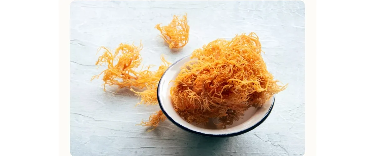 Sea Moss