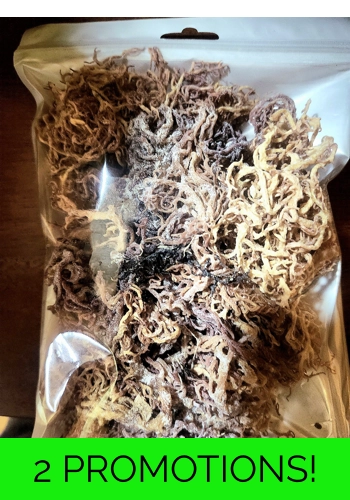 Dry Raw Sea Moss