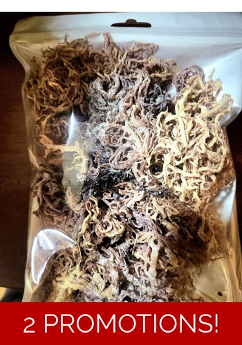Dry Raw Sea Moss