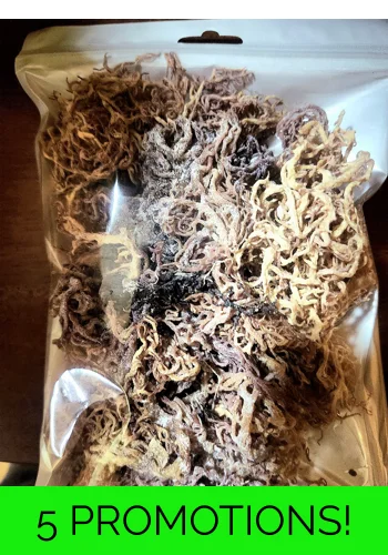 Dry Raw Sea Moss