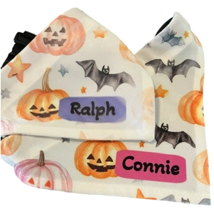Personalised Halloween Pet Bandana