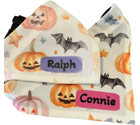 Personalised Halloween Pet Bandana