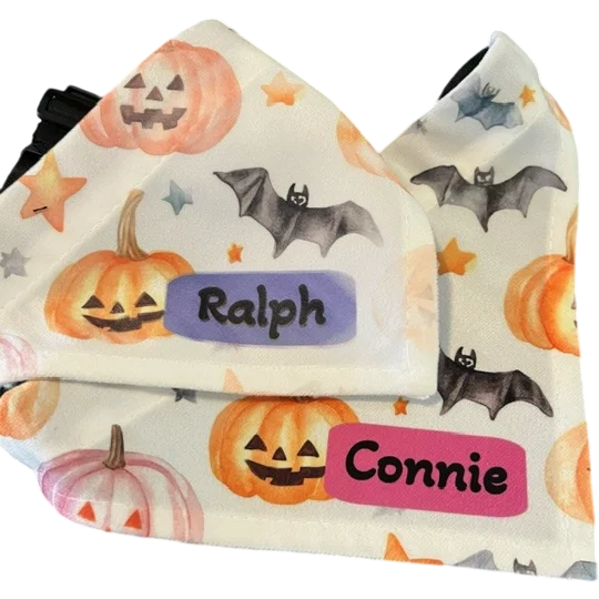 Personalised Halloween pet bandana x2 blue pink Kettering Northamptonshire