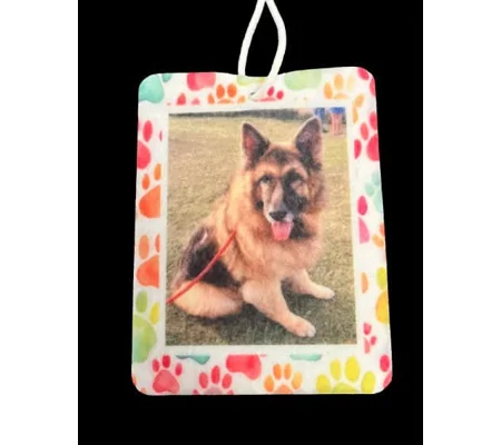 Air freshener -Personalised with own photograph