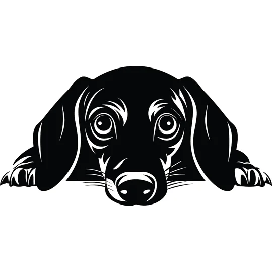 Personalised Caricature Dog Coasters, Many breeds and designs