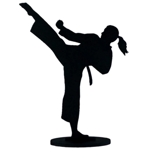 Female Martial Arts Silhouette Figure Karate Kung Fu Taekwondo