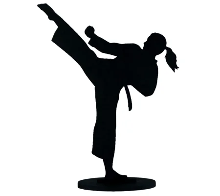 Female Martial Arts Silhouette Figure Karate Kung Fu Taekwondo