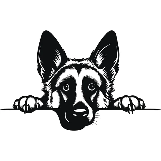 Personalised Caricature Dog Coasters, Many breeds and designs