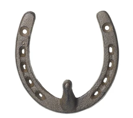Iron Horseshoe with hook