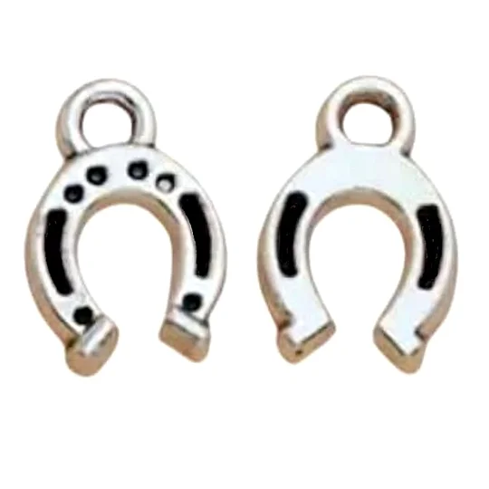 Lucky Horseshoe Metal Charms x 5