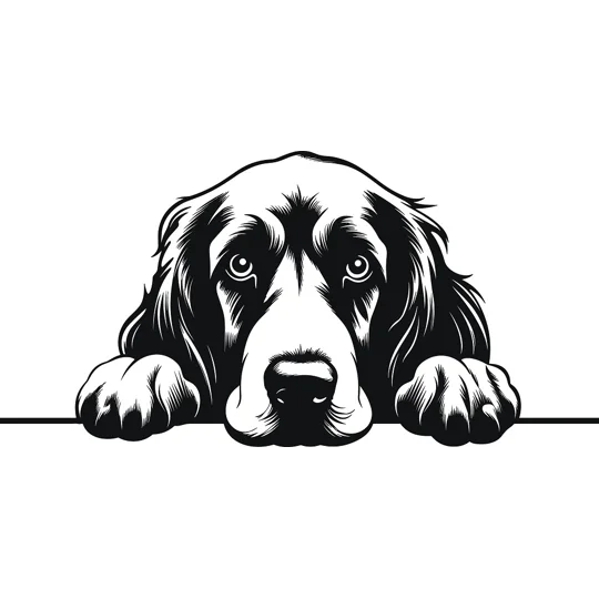 Personalised Caricature Dog Coasters, Many breeds and designs