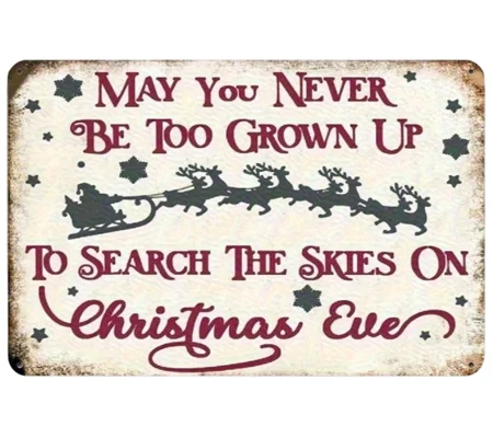 May You Never Be Too Old Christmas Sign.