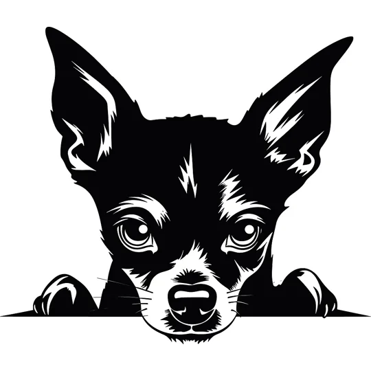 Personalised Caricature Dog Coasters, Many breeds and designs