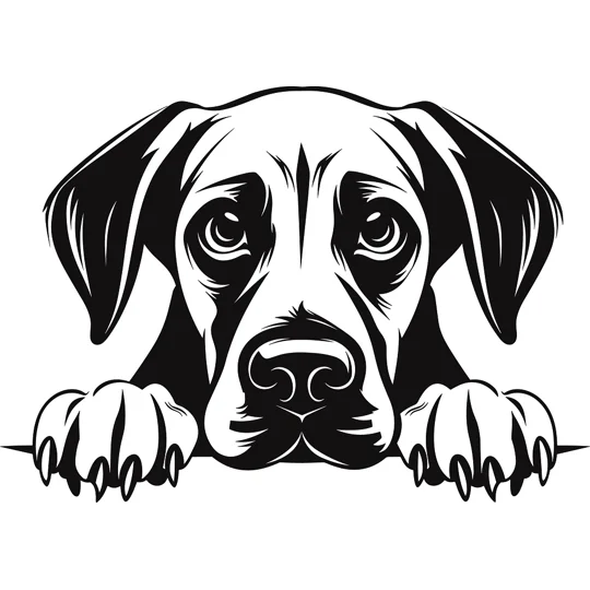 Personalised Caricature Dog Coasters, Many breeds and designs