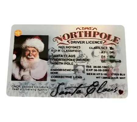 Father Christmas Santa's Lost Driving Licence