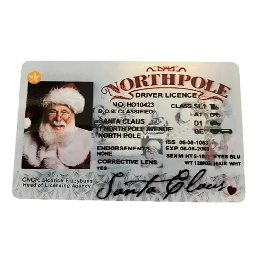 Father Christmas Santa's Lost Driving Licence