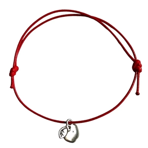 Apple Friendship Bracelet Teacher Gift