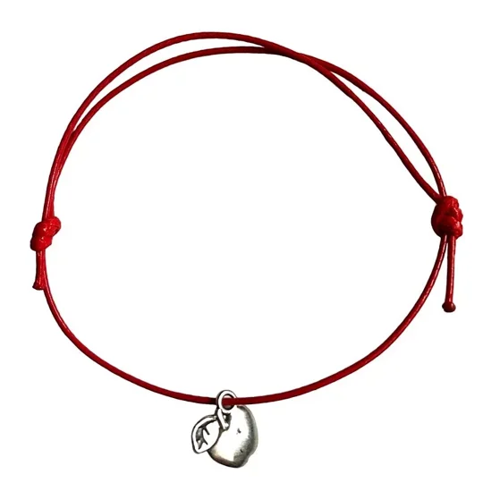 Adjustable Apple Friendship Bracelet kettering northamptonshire