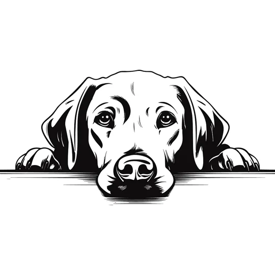 Personalised Caricature Dog Coasters, Many breeds and designs
