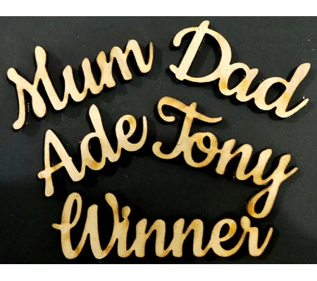 Laser Cut Wedding Seating Place Names and Words