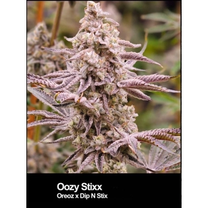 Oozy Stix