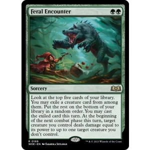 Feral Encounter