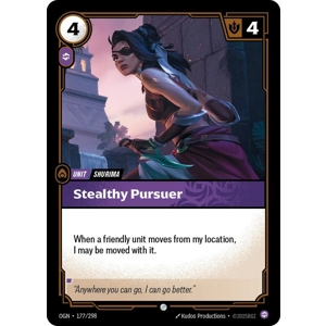 Stealthy Pursuer