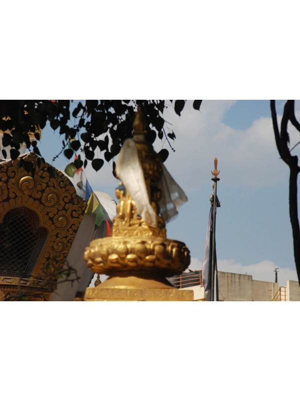Kathmandu XXIV