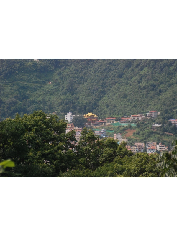 Chaitya v
