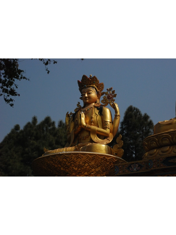 Chaitya xv
