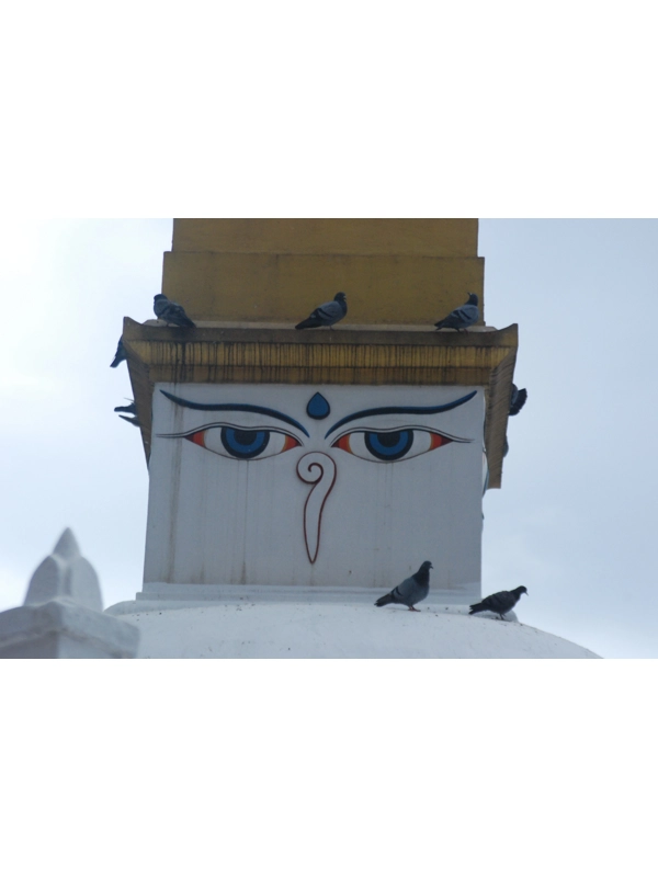 Stupa v