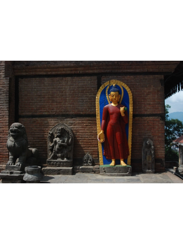 Chaitya x