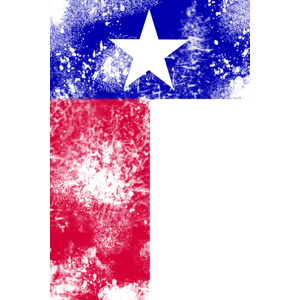 Texas Tee