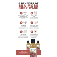 Sea Moss Body Wash - 8 oz.