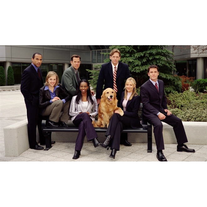 Additional Image for Sue Thomas: F.B.Eye COMPLETE SERIES S01-S03